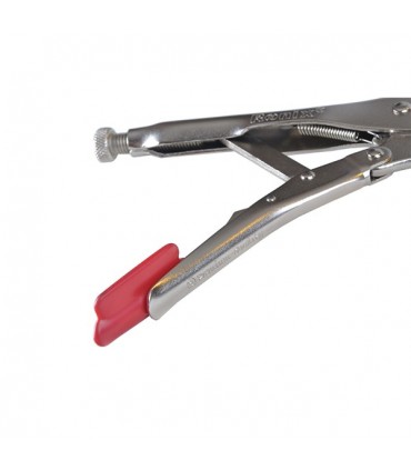 انبرقفلی رونیکس