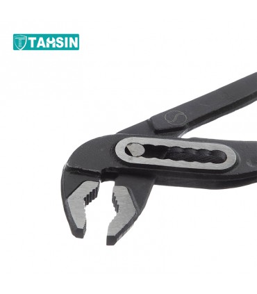 انبر کلاغی حرفه ای سیلور مدل GTGRP10 سایز 10 اینچ