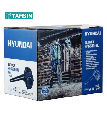بلوور هیوندای مدل HP6530-BL توان 650 وات