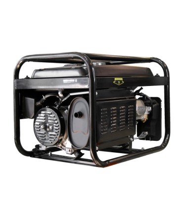 موتور برق استارتی ایمر مدل LT3900B