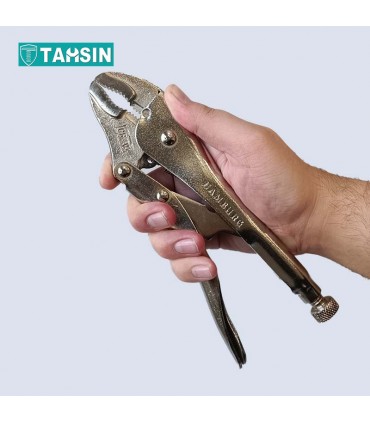 انبر قفلی هامبورگ سایز 10 اینچ